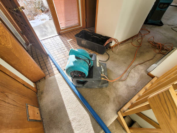 Best Local water damage restoration  in Pantops, VA
