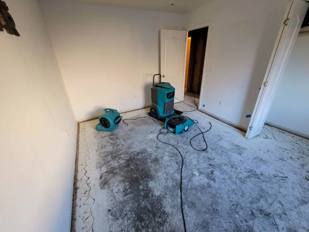 Best Basement water damage restoration  in Pantops, VA